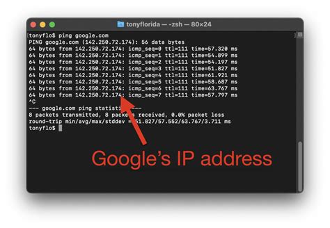 Image result for Telnet Ping Command