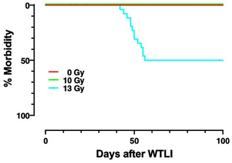 IJMS | Special Issue : Molecular Research in Radiobiology 2.0