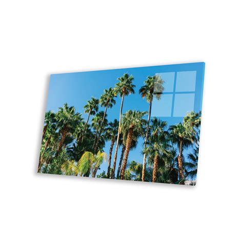 Bay Isle Home™ Palm Springs Palms III Print On Acrylic Glass - Wayfair ...