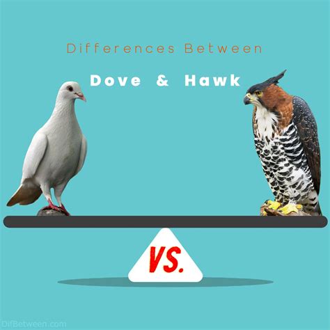 Dove vs Hawk: Key Differences and Contrasts Unveiled