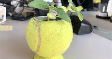 USTA Green Committee preps for Earth Day, Park Week