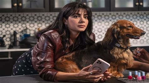 Paws in the City | Where to Stream & Watch Online?