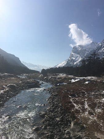 Yumthang Valley (Lachung) - What to Know Before You Go (with Photos ...