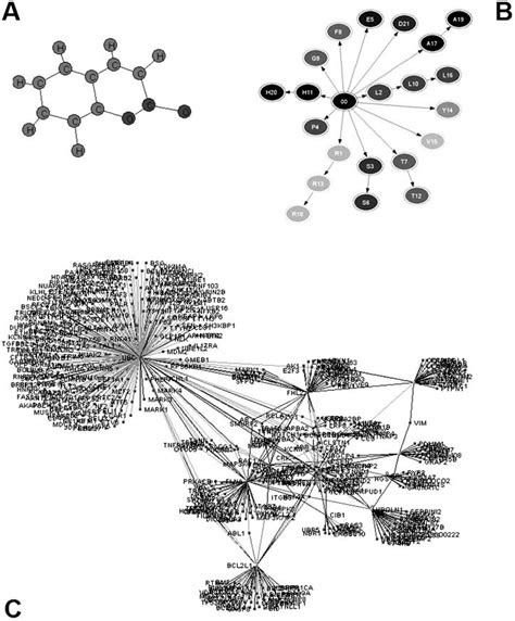 Image result for Molecule Graph
