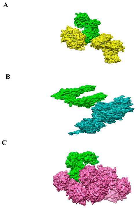 Computational Design of a Chimeric Vaccine against Plesiomonas ...