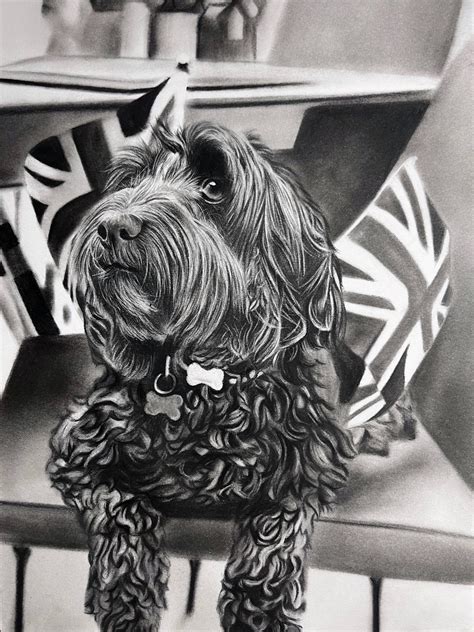 Image result for Cockapoo Drawing Portrait