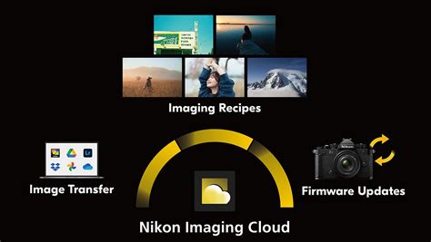 Nikon Firmware 的图像结果