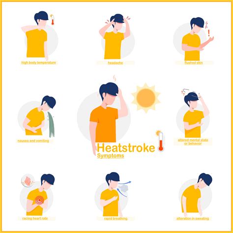 Vector illustrations Infographic of heat stroke symptoms.headache,nausea and vomiting,flushed ...