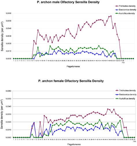 Image result for Functional Testing vs Structural Testing