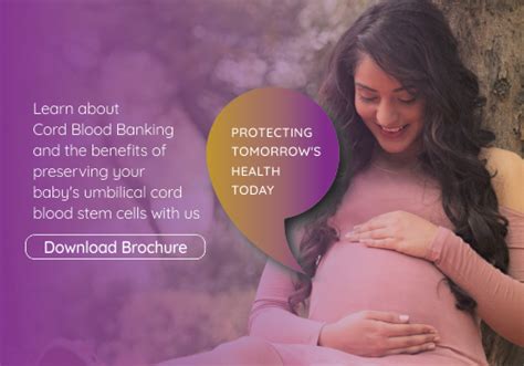 Cutting-Edge Umbilical Cord Blood Stem Cell Banking Services in India