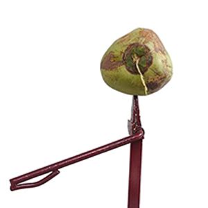 Buy GONATURS Manual Iron Coconut Husk Peeler Remover - Dehusker Machine ...