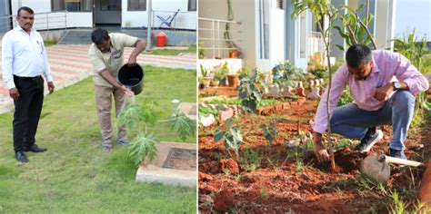 Tree Plantation Drive at NID, Andhra Pradesh | NID