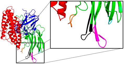 Molecular Approaches to Improve the Insecticidal Activity of Bacillus ...