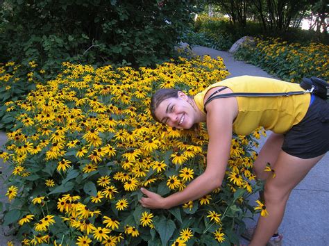 How to Grow: Black-Eyed Susan- Growing and Caring for Rudbeckia