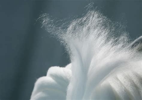 Sustainable Fabric Facts: Lyocell - What is Lyocell? Is Lyocell Sustainable