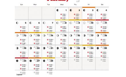 Vector Tables Fishing at Vectorified.com | Collection of Vector Tables ...