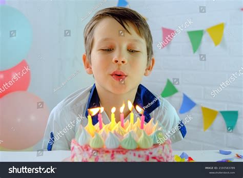One Person Blowing Birthday Cake Photos, Images & Pictures | Shutterstock