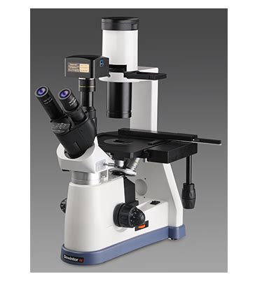 CLK Biotechk - Products