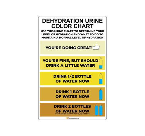 Hydration Urine Chart Spanish Language Urinary System | Sports