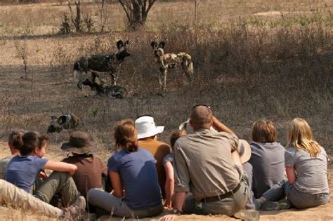 THE BEST Places to Visit in Mana Pools National Park (2025)