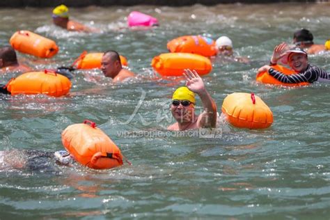 宜宾：游泳爱好者们横渡长江迎接新年-中国网