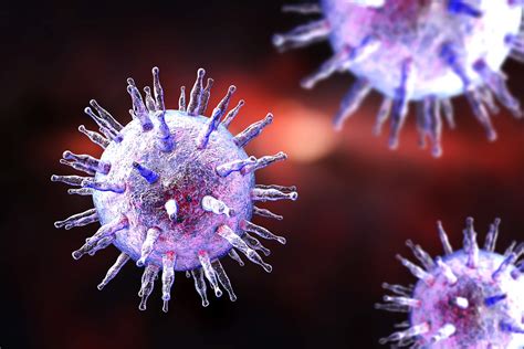 Epstein Barr Virus Wie Lange Ansteckend | Education Suisse