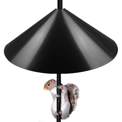 Image result for Squirrel Protector