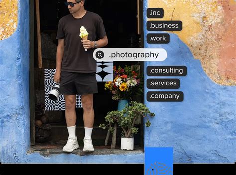 Image result for Domain Name Search Engine