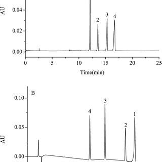 Image result for Electropherogram vs Chromatogram