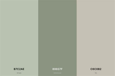 Light Green and Gray Cool Color Palette | Light green hex, Cool color ...