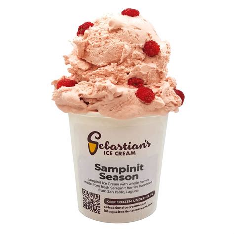Ice Cream Pints | Sebastian's Ice Cream