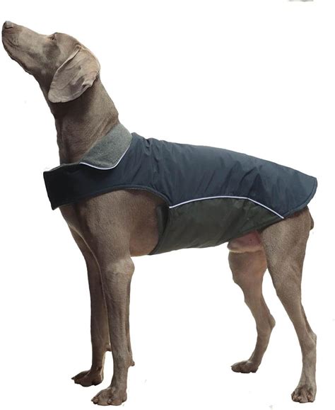 Buy Winter Dog Coat 100% Waterproof Thicken Dog Jacket for Lab Pitbull ...