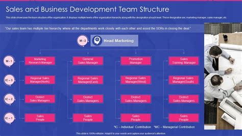 Business Development Structure 的图像结果