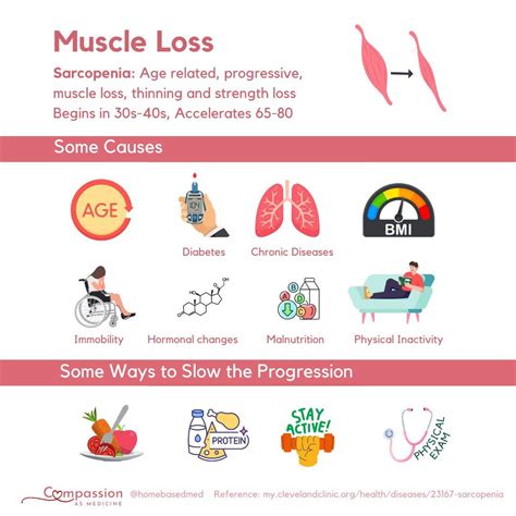 Does Aerobic Exercise Cause Muscle Loss - CARDIO WORKOUT ROUTINE