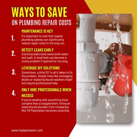 Do it Yourself Plumber: Easy Plumbing Repairs - Agora Architects