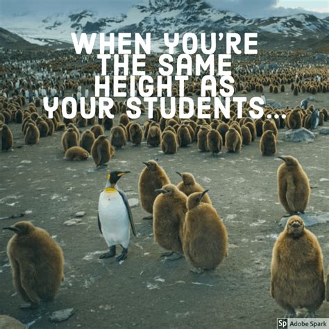 Image result for Lab Work Class Report Sample