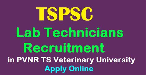 TSPSC Lab Technicians Recruitment 2020 in PVNR TS Veterinary University ...