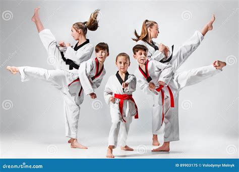 The Studio Shot of Group of Kids Training Karate Martial Arts Stock ...
