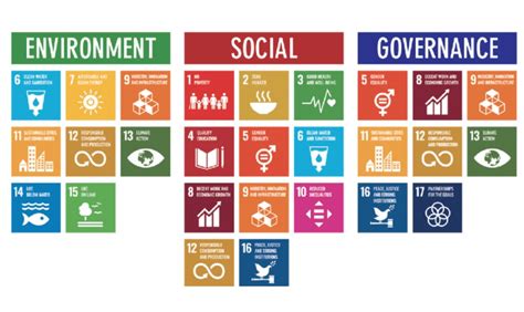 Sustainable Development Course 的图像结果