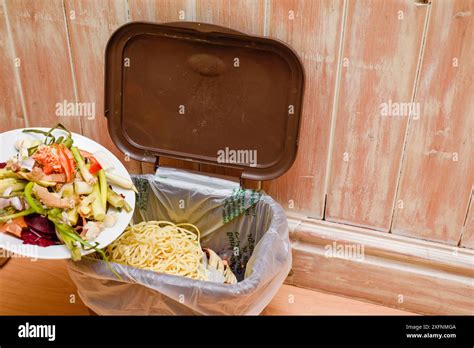 Image result for How Is Food Disposed