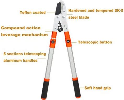 DARIT Lopper with Extendable, Bypass Heavy Duty, Tree Trimmer ...