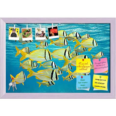 ArtzFolio Tropical Fish Caribbean Sea | Bulletin Board Notice Pin Board ...