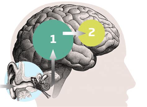 A Comprehensive Comparison: Oticon vs. Phonak Hearing Aids