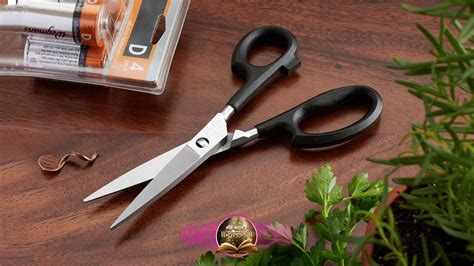 Empty Scissors: क्या खाली केंची चलाने से वाकई होती है लड़ाई, जानें क्या ...