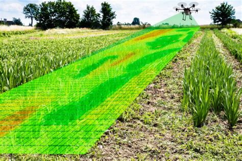 Multispectral Imaging Applications 的图像结果