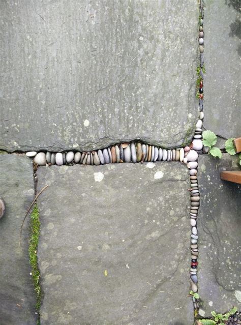 Tutorials for Dreaming Tree 的图像结果