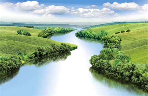 Estuaries are warming at twice the rate of the ocean - Earth.com