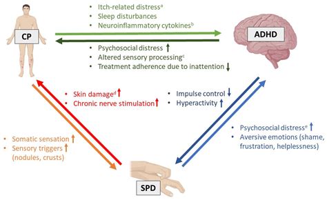 The Relationship Between Chronic Pruritus, Attention-Deficit ...