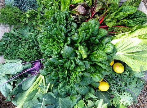 California Farm and Garden Office Photos