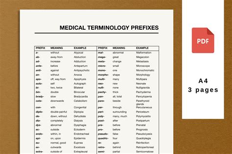List Of Medical Term Prefixes